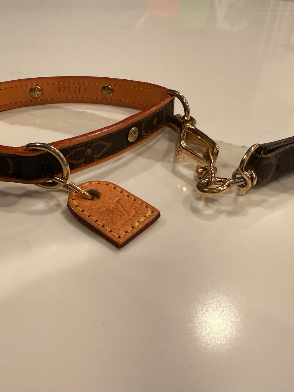 Louis Vuitton Baxter Dog Collar and Leash
